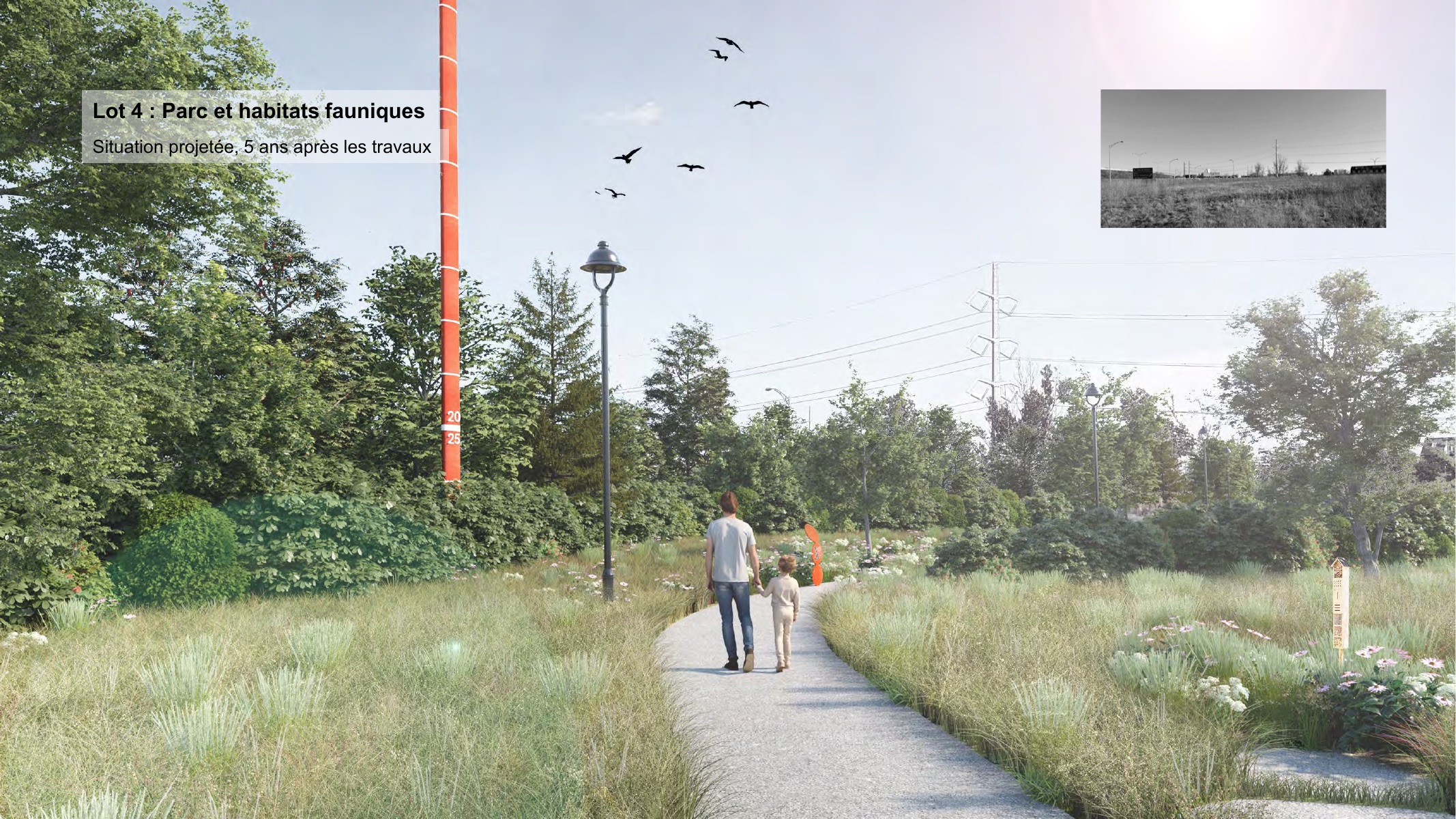 Projection du secteur parc et habitats fauniques cinq ans après les travaux